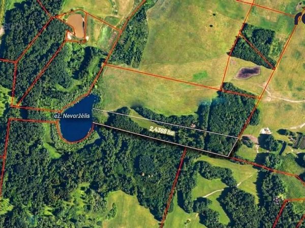 Utenos r. sav., Paneveržys