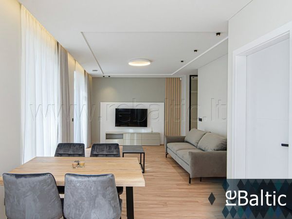 Vilnius, Šnipiškės