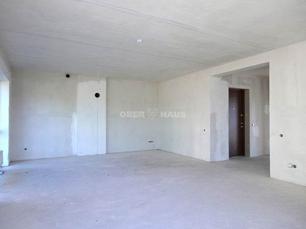 Raseinių r. sav., Ariogala