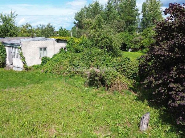 Panevėžys, Molainiai