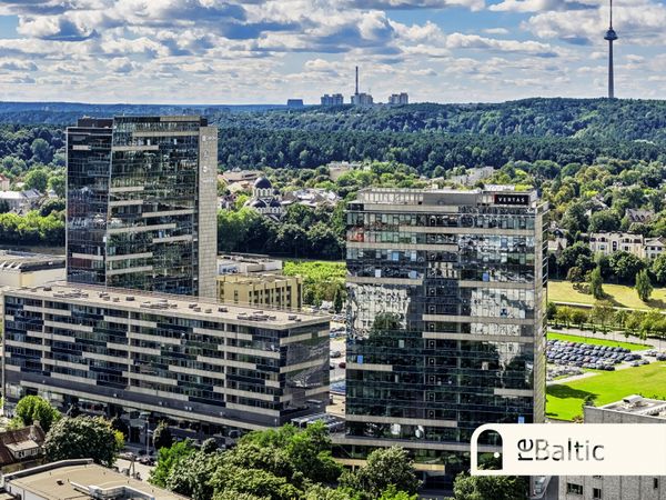 Vilnius, Naujamiestis