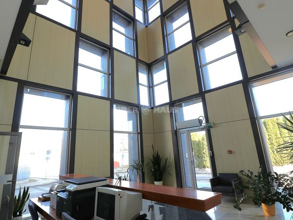 Panevėžys, Centras