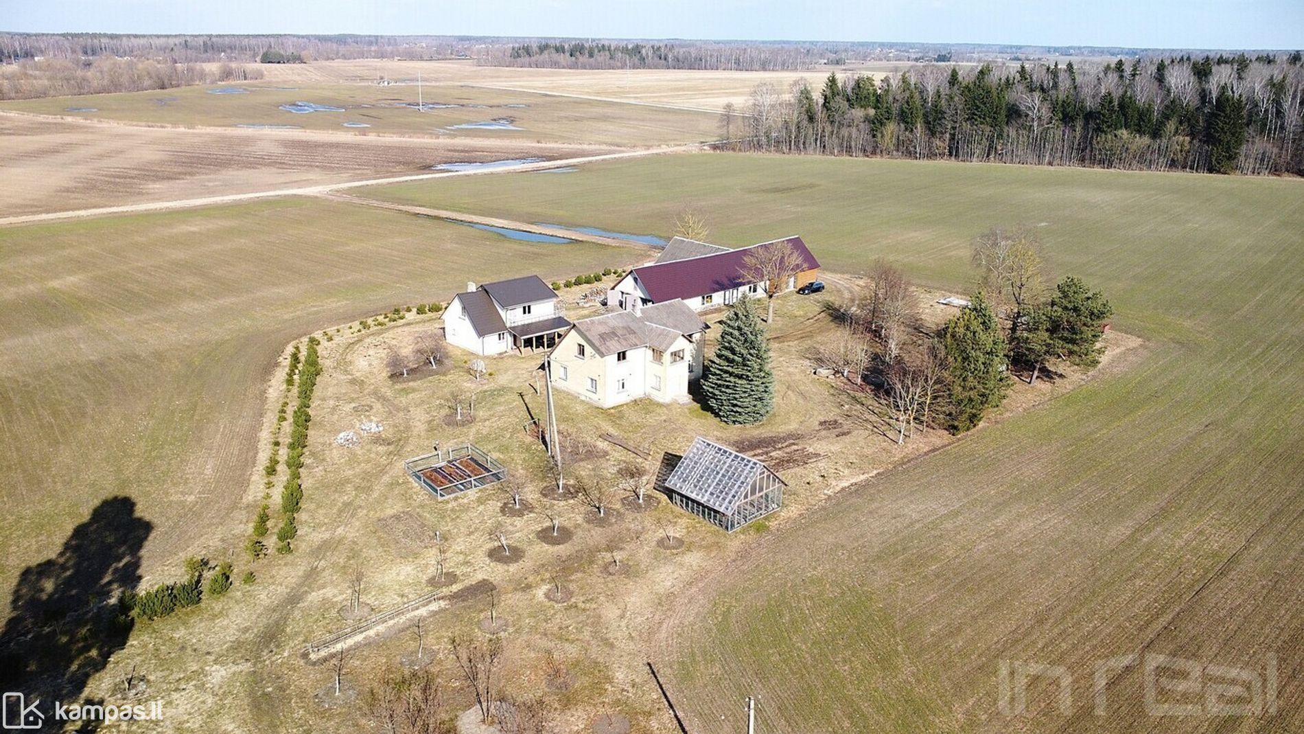 Main Image Panevėžio r. sav., Vabalai