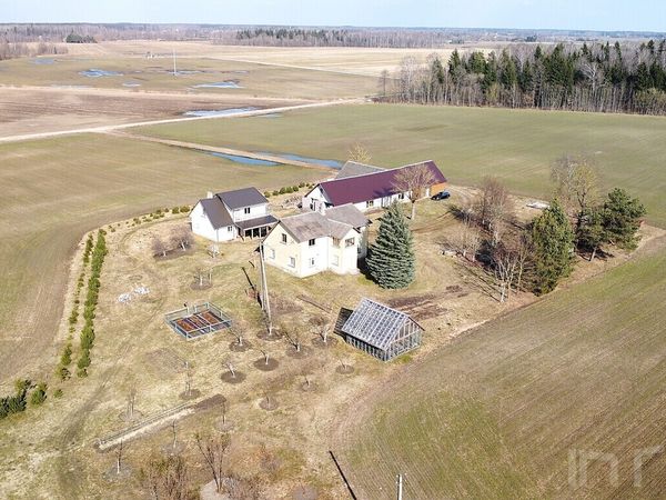 Panevėžio r. sav., Vabalai