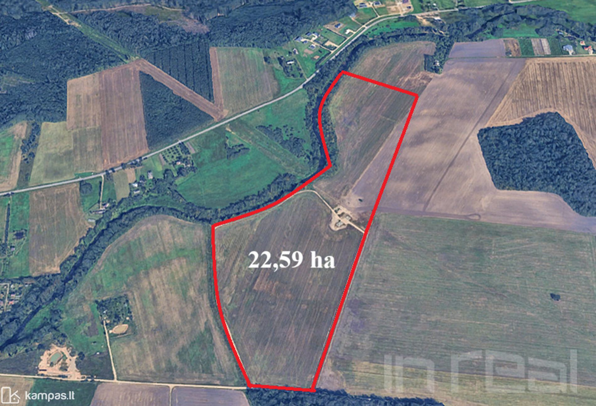 Main Image Panevėžio r. sav., Vabalai