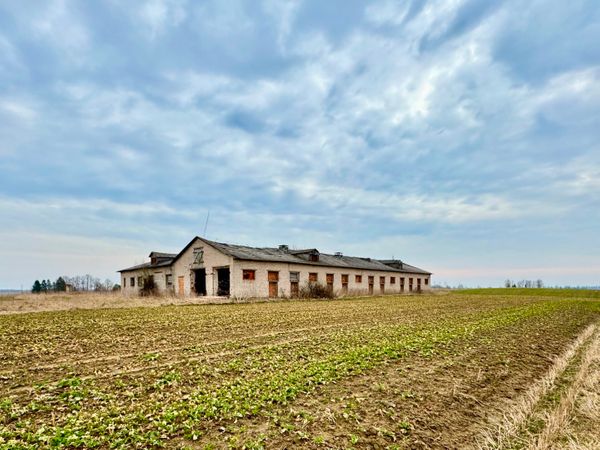 Alytaus r. sav., Greikonys