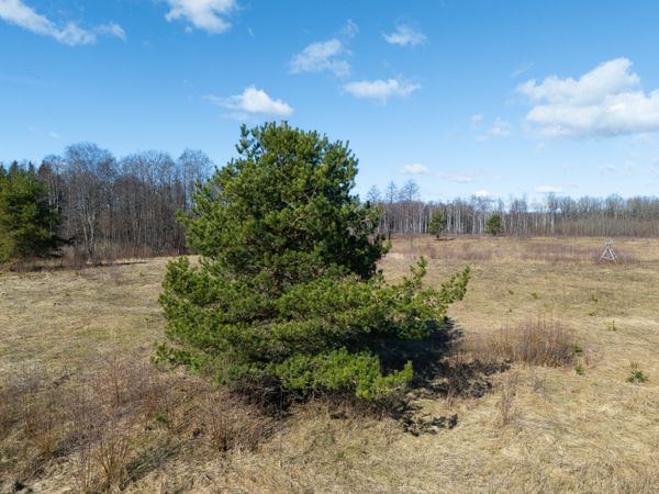 Klaipėdos r. sav., Lėbartai