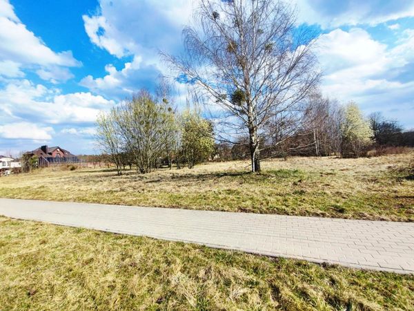 Druskininkų sav., Druskininkai