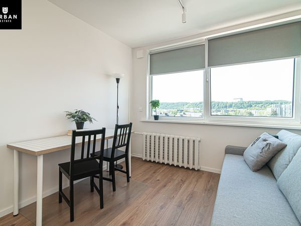 Vilnius, Šnipiškės