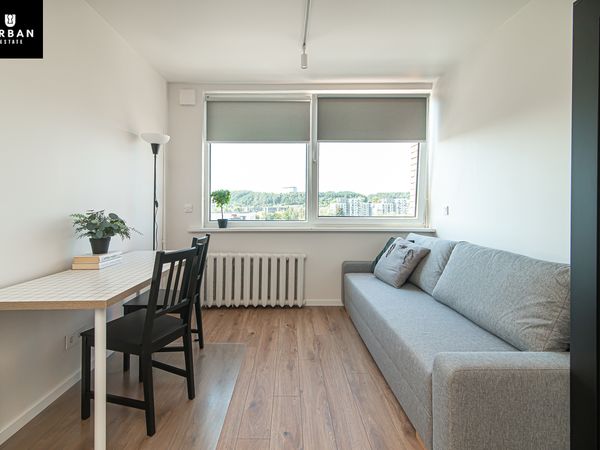 Vilnius, Šnipiškės