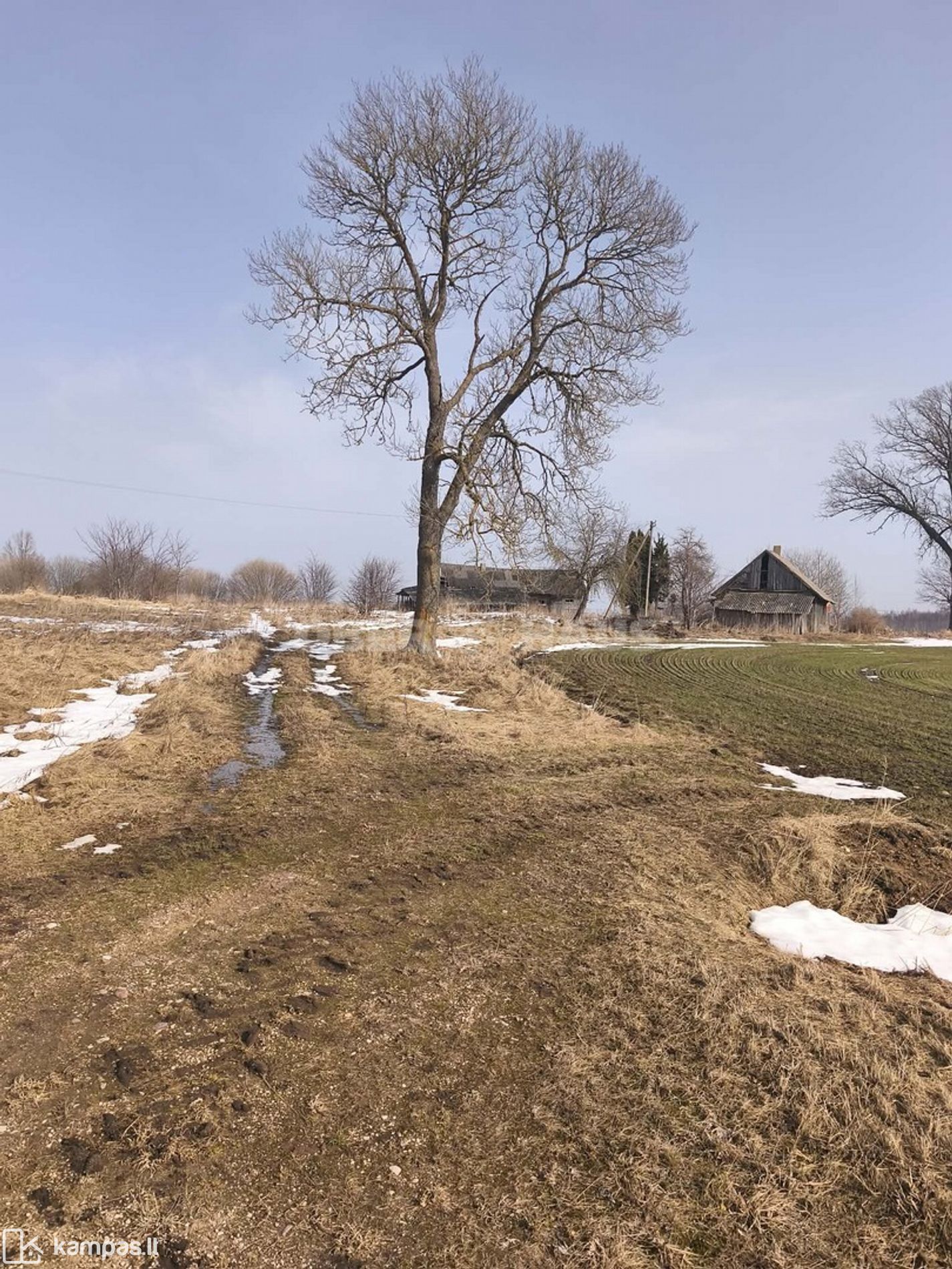 Main Image Akmenės r. sav., Meškiai