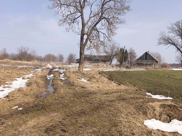 Akmenės r. sav., Meškiai