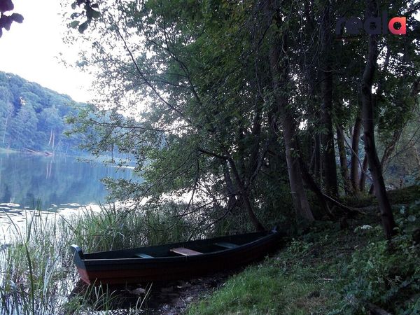 Molėtų r. sav., Laumikoniai