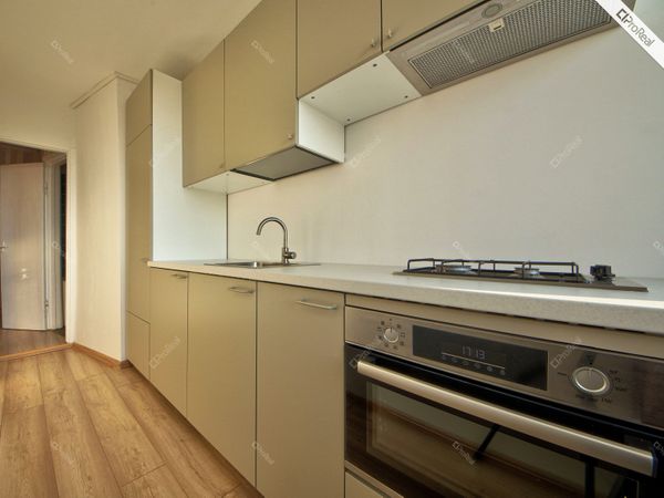 Vilnius, Naujoji Vilnia