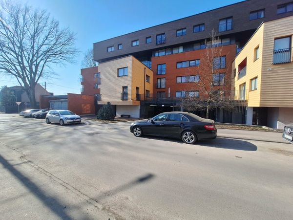 Kaunas, Žaliakalnis