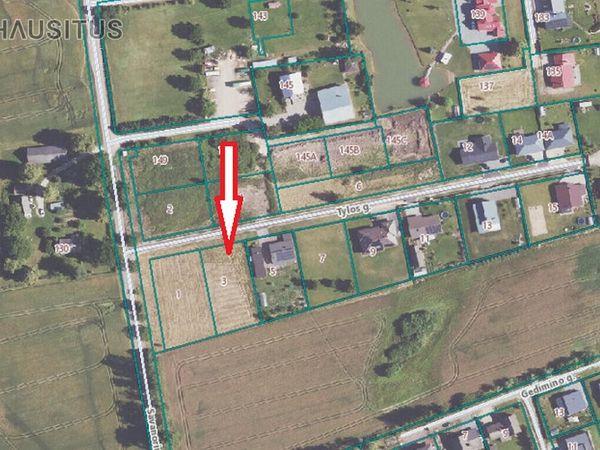 Panevėžio r. sav., Vyčiai