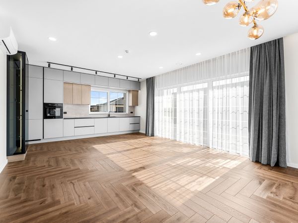 Šiaulių r. sav., Dainos