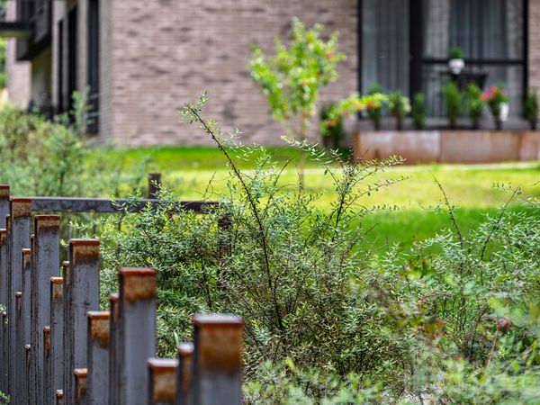 Vilnius, Burbiškės