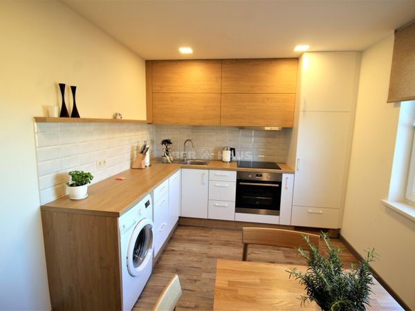 Panevėžys, Centras