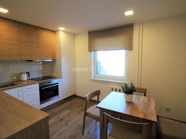 Panevėžys, Centras