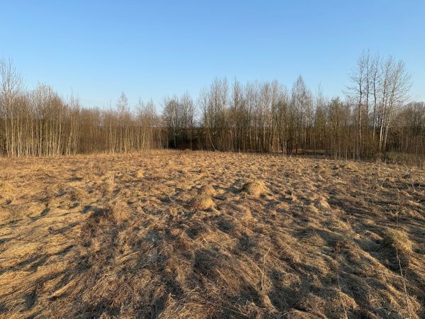 Vilniaus r. sav., Katiliškės