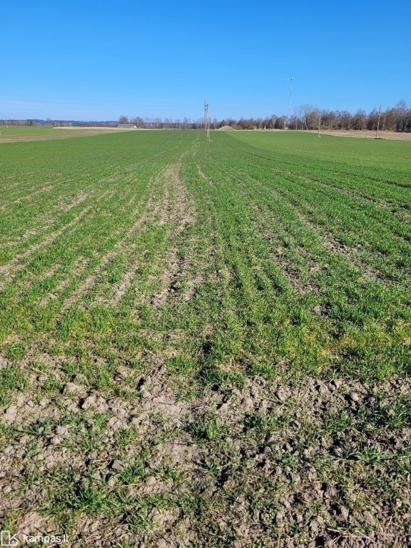 Main Image Lazdijų r. sav., Šeštokai