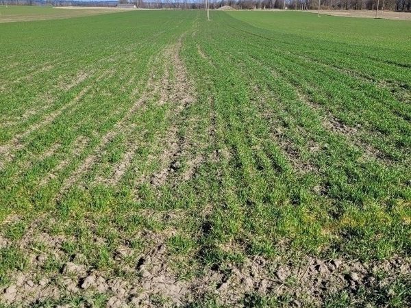 Lazdijų r. sav., Šeštokai