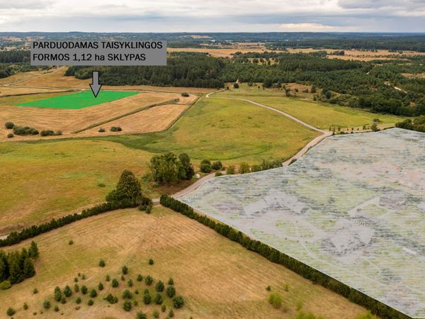 Trakų r. sav., Salkininkai