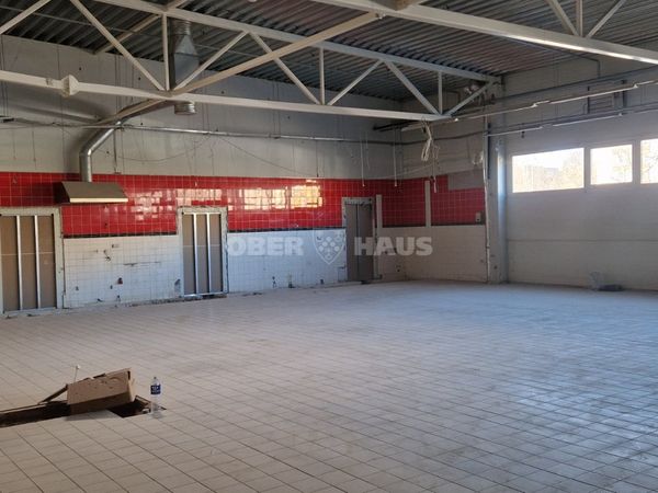 Panevėžys, Kniaudiškiai