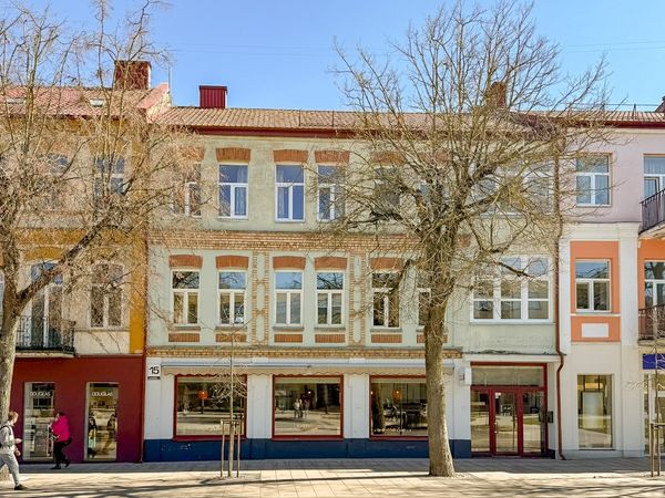 Panevėžys, Centras