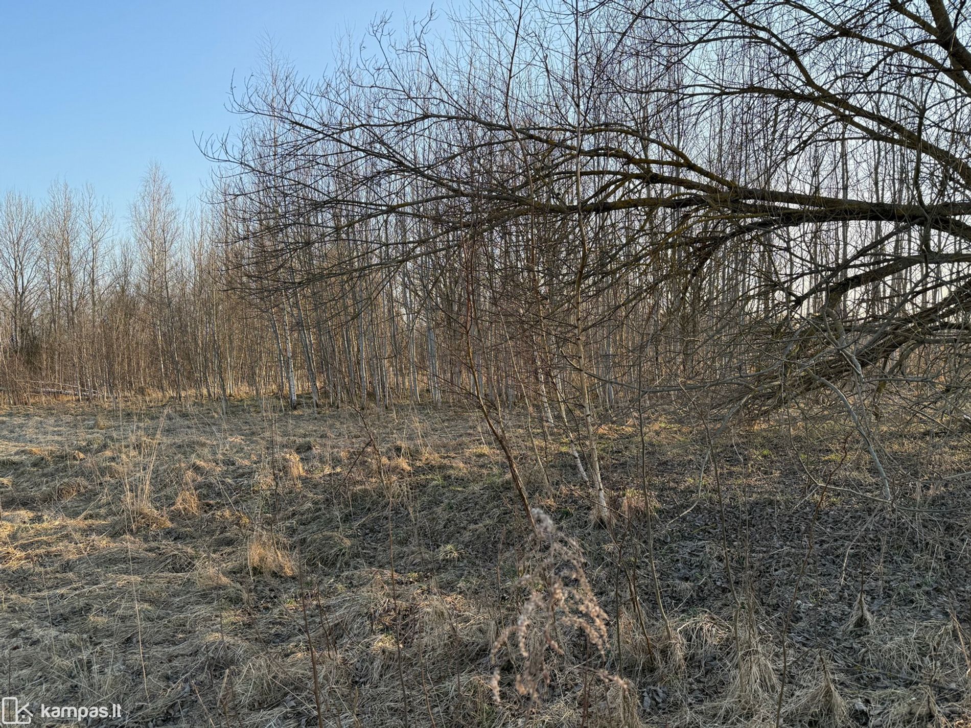 Main Image Vilniaus r. sav., Katiliškės, Bruknių g.