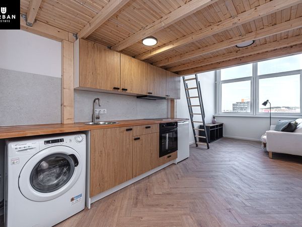 Vilnius, Žemieji Paneriai