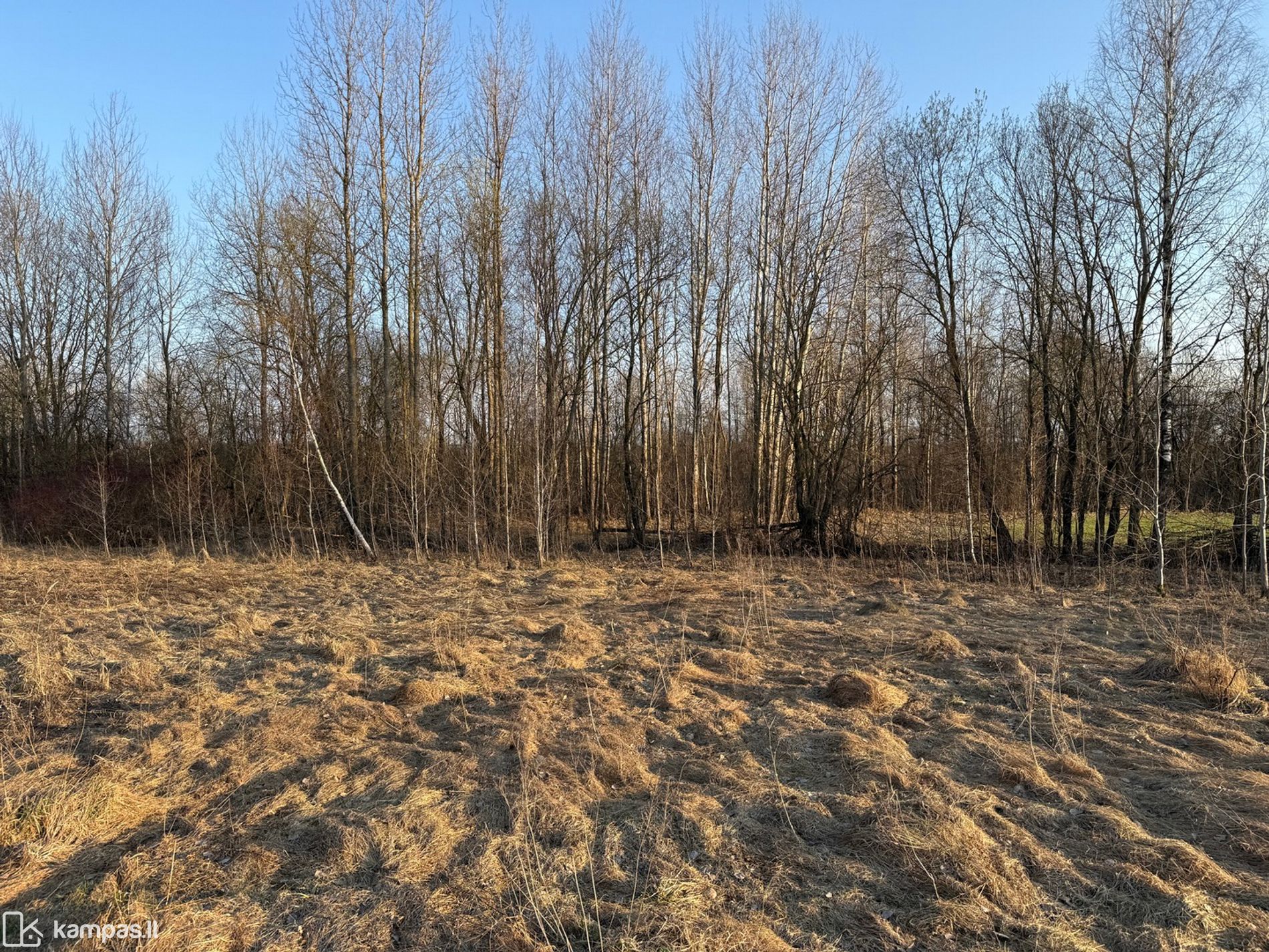 Main Image Vilniaus r. sav., Katiliškės, Bruknių g.