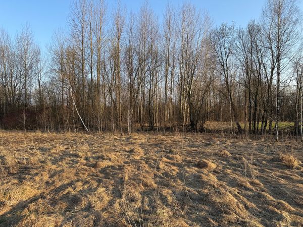 Vilniaus r. sav., Katiliškės