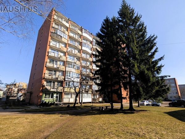 Panevėžys, Žemaičiai