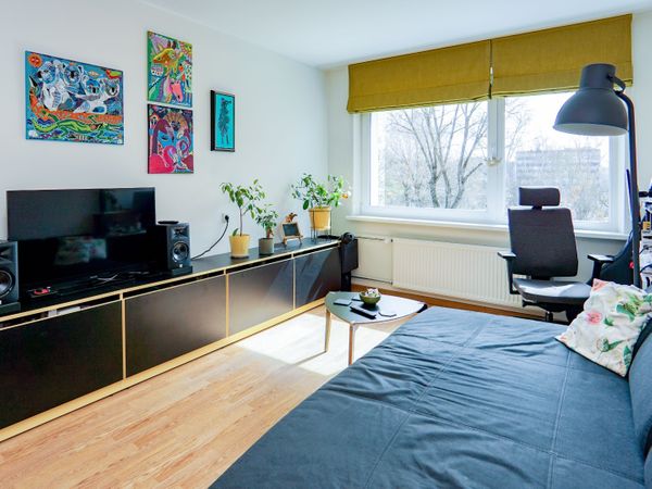 Vilnius, Šnipiškės