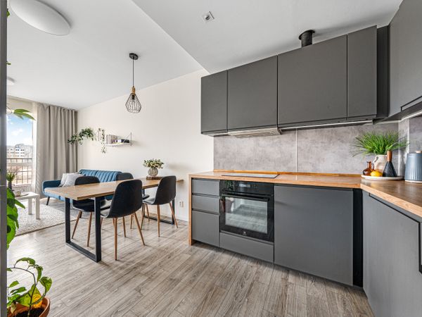 Vilnius, Šnipiškės