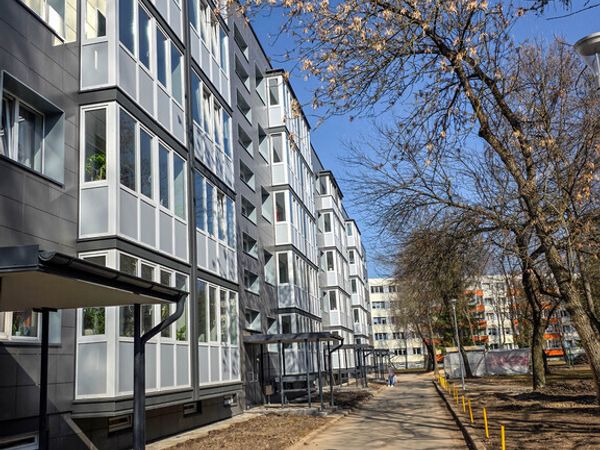 Panevėžys, Tulpės