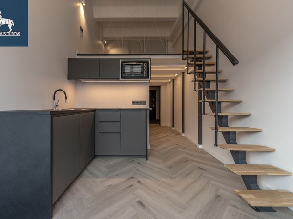 Vilnius, Naujamiestis