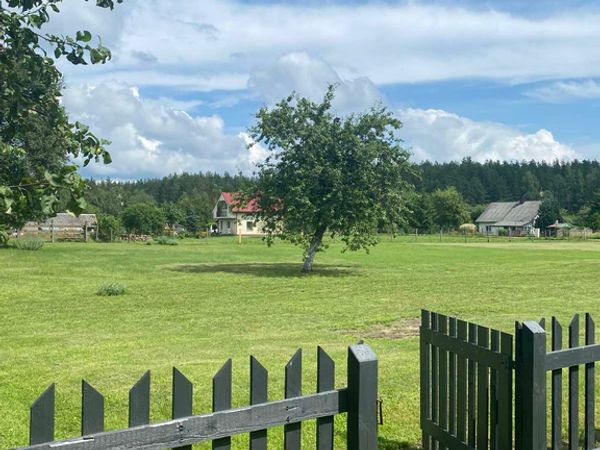 Švenčionių r. sav., Družiliai