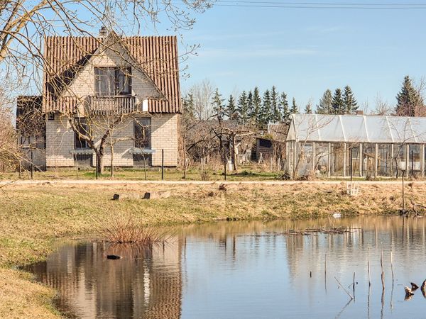 Panevėžio r. sav., Daukniškiai