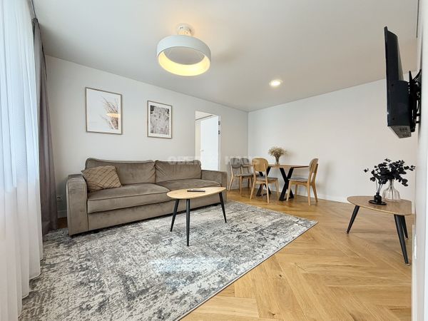 Panevėžys, Centras