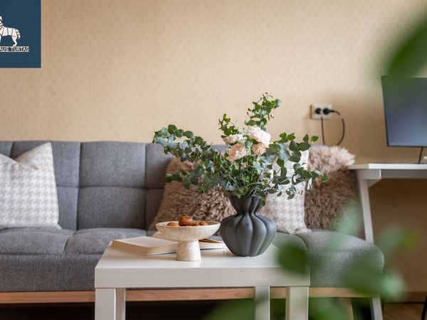 Vilnius, Naujamiestis