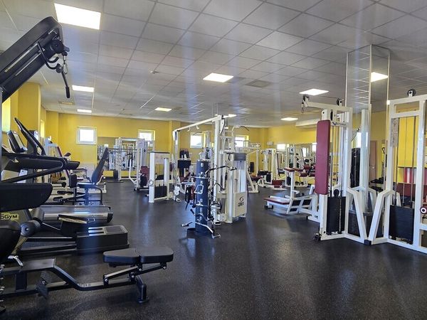 Kėdainių r. sav., Kėdainiai