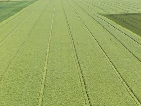 Alytaus r. sav., Greikonys