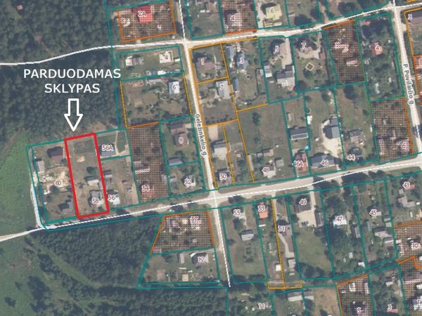 Kazlų Rūdos sav., Jūrė