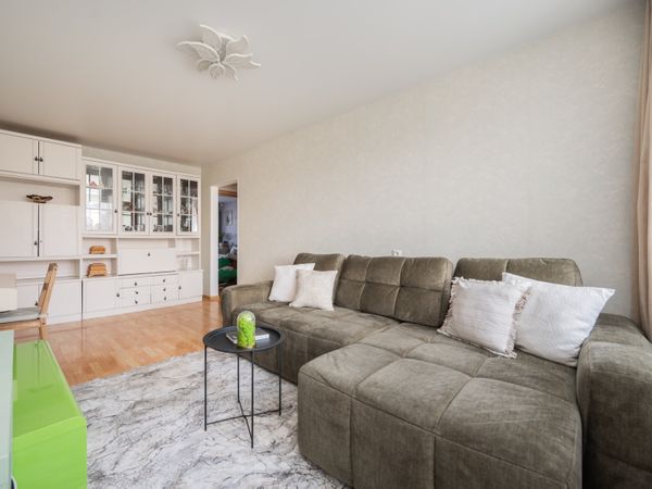 Vilnius, Šnipiškės