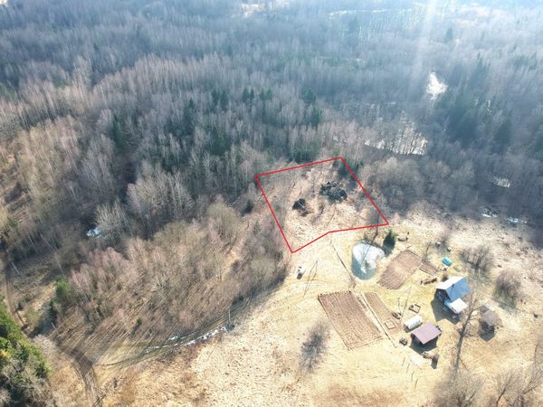 Vilniaus r. sav., Augustai