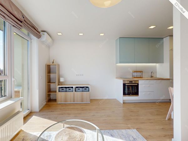 Vilnius, Šnipiškės