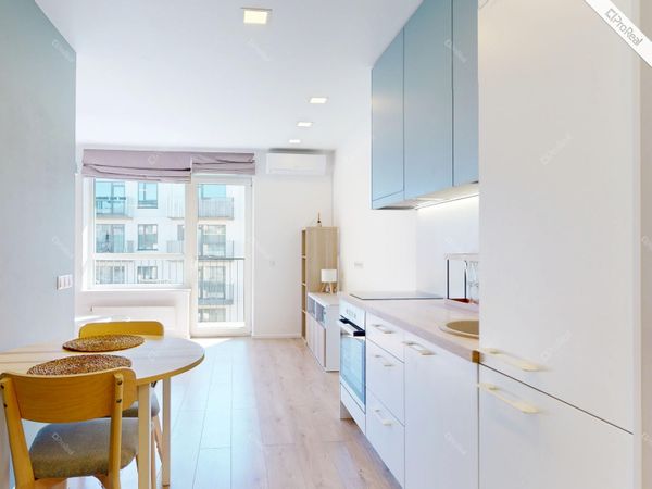 Vilnius, Šnipiškės